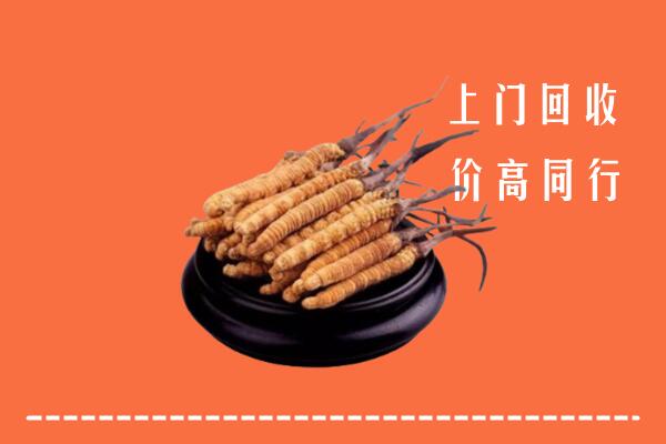 怀集县回收散虫草