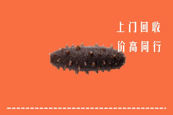 怀集县回收海参