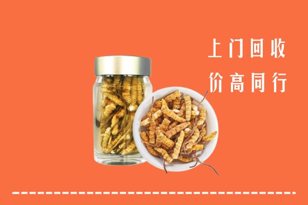 怀集县回收冬虫夏草