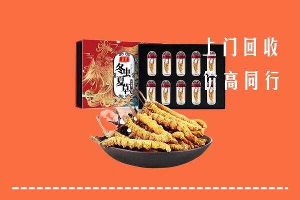 怀集县回收虫草